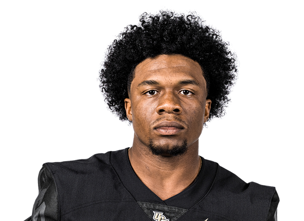 RJ Harvey Wiki / Bio